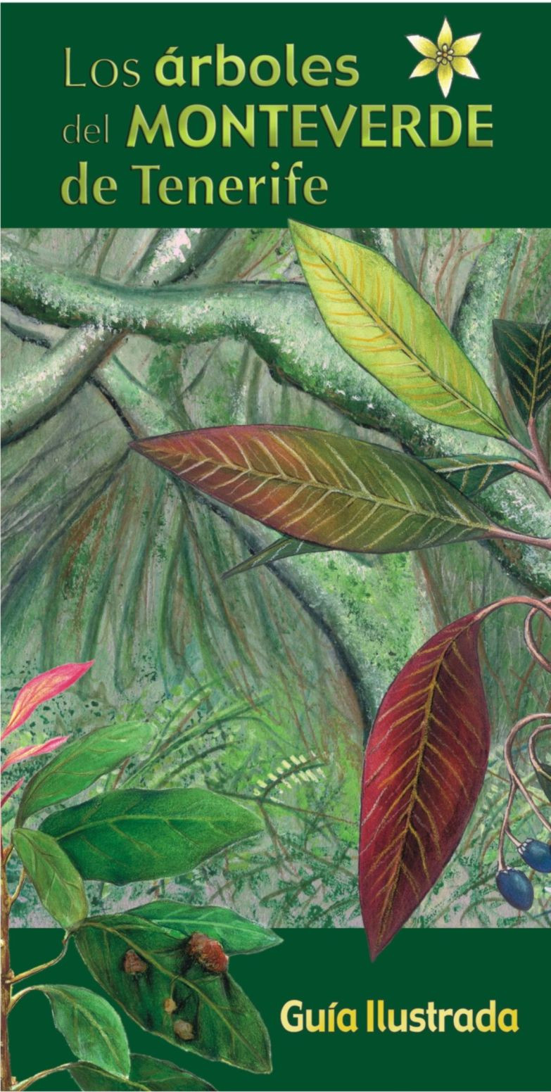 Árboles del Monteverde