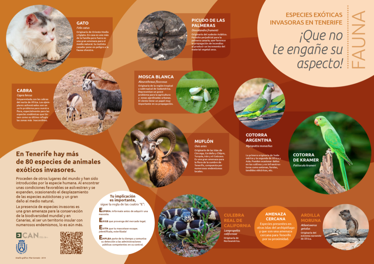 Control De Especies Exóticas Invasoras 2593