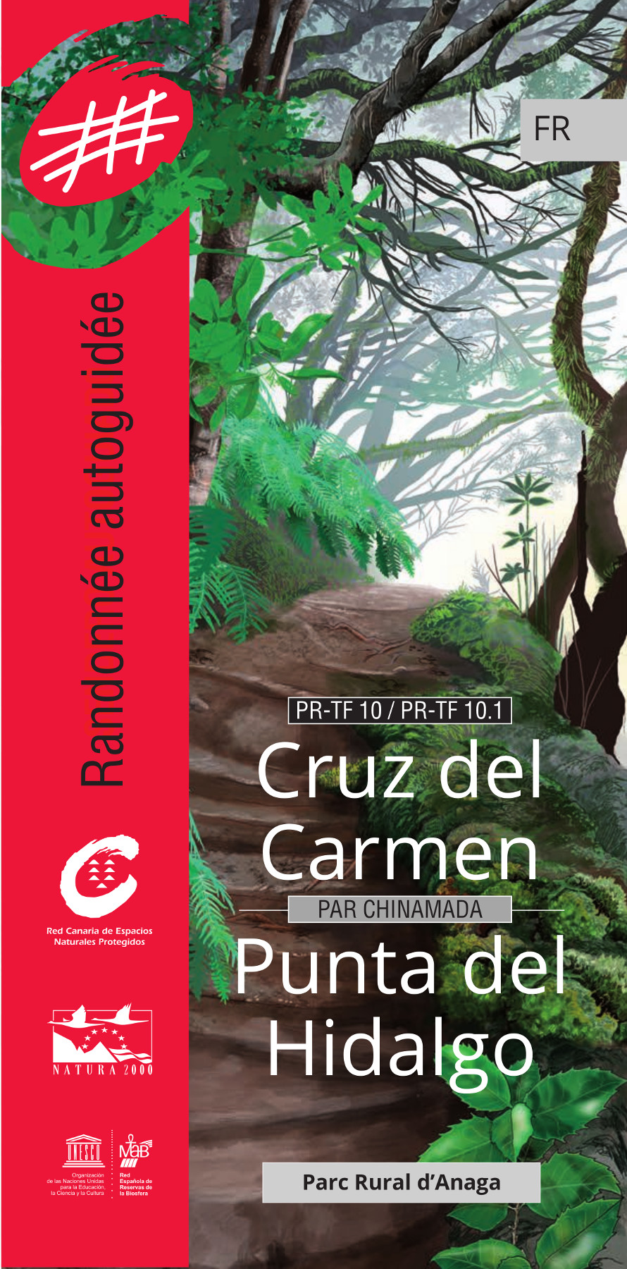 Ruta Autoguiada Cruz del Carmen - Punta del Hidalgo / Francés