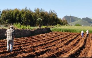 La Laguna enseña al sector agrícola a elaborar sus propios productos para lograr suelos más fértiles