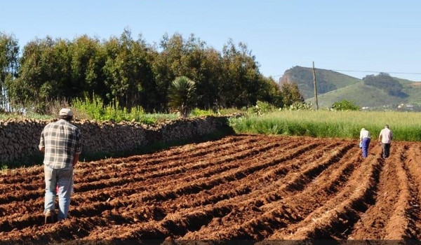 La Laguna enseña al sector agrícola a elaborar sus propios productos para lograr suelos más fértiles