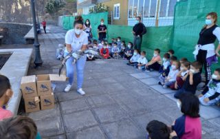 El CEIP Punta del Hidalgo participa en una suelta de pardelas