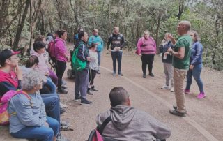 El Centro de Visitantes de Cruz del Carmen ofrece rutas por Anaga para personas con diversidad funcional