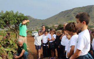 Escolares de Tegueste se acercan a la vendimia, la siega y la trilla tradicionales