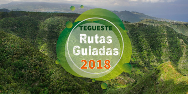 Rutas Guiadas Tegueste 2018