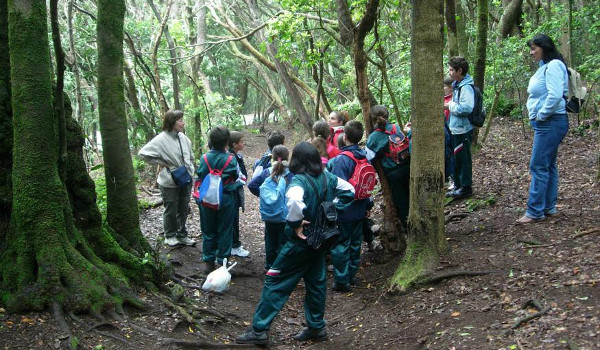 El Cabildo fomenta los valores naturales del Parque Rural de Anaga entre 1.800 escolares