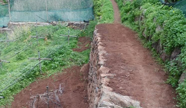 El Cabildo mejora la seguridad en el sendero de La Cueva del Lino