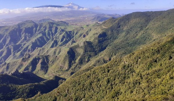 El Monte Aguirre: vergel de Anaga, manantial de Santa Cruz