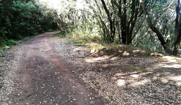 El Cabildo destina más de un millón de euros a la recuperación de senderos en Anaga