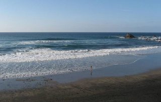 Bienvenidos/as a las playas de Santa Cruz