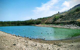 La Laguna convertirá la charca El Manisero en una reserva ornitológica