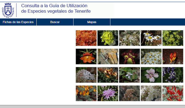 El Cabildo de Tenerife actualiza la ‘Guía de las especies vegetales para jardinería’