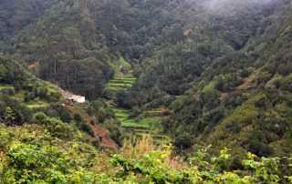 El Cabildo de Tenerife se suma a la iniciativa del Corredor Biológico Mundial