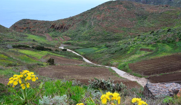 Transición Ecológica destina 510.000 euros en ayudas para las Reservas de la Biosfera de Canarias