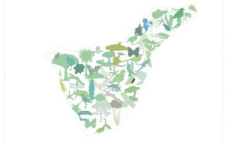 El Cabildo, ayuntamientos y agentes sociales revisan la Estrategia Insular para la Biodiversidad