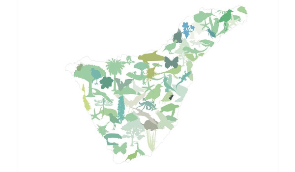 El Cabildo, ayuntamientos y agentes sociales revisan la Estrategia Insular para la Biodiversidad