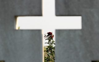 Los cementerios de Santa Cruz se preparan para celebrar el Día de Todos los Santos