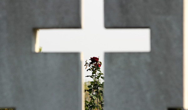 Los cementerios de Santa Cruz se preparan para celebrar el Día de Todos los Santos