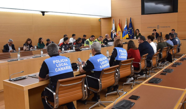El Cabildo coordina las acciones para la mejora de la movilidad en Anaga