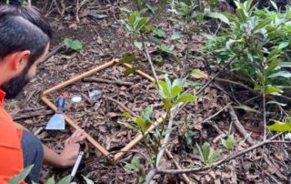 La Universidad de La Laguna detecta microplásticos en el Parque Rural de Anaga