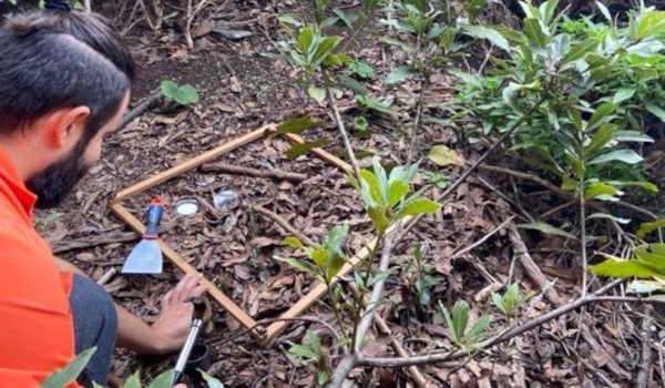 La Universidad de La Laguna detecta microplásticos en el Parque Rural de Anaga
