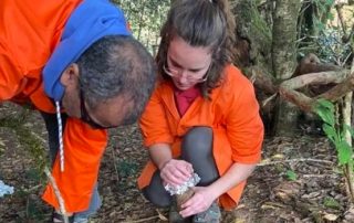 La Universidad de La Laguna confirma la presencia de microplásticos en suelos y aguas de Anaga